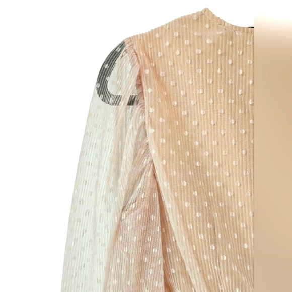 NEW Endless Rose Anthropologie Sheer Nude Pink Ruched Mini Dress Swiss Polka Dot - Picture 4 of 16